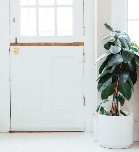 Addison Place Creative Apartment Door Decor Ideas